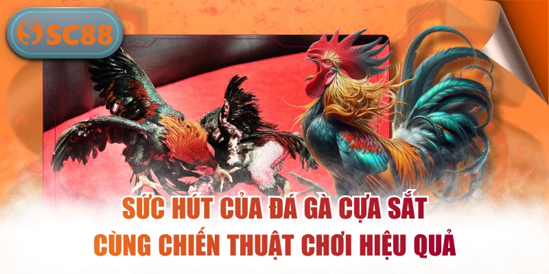 Đá Gà Cựa Sắt