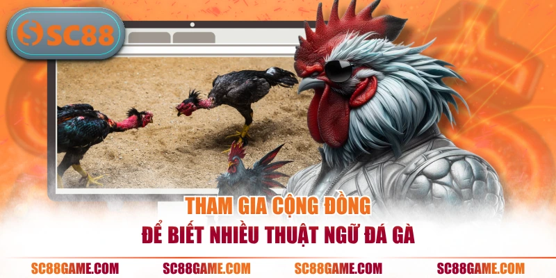 Tham gia cộng đồng để biết nhiều thuật ngữ đá gà